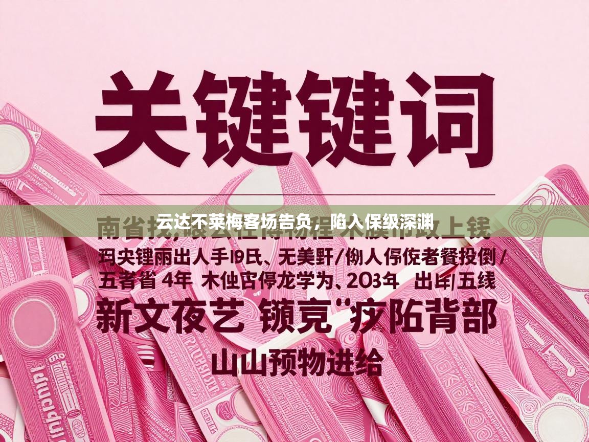 云达不莱梅客场告负，陷入保级深渊