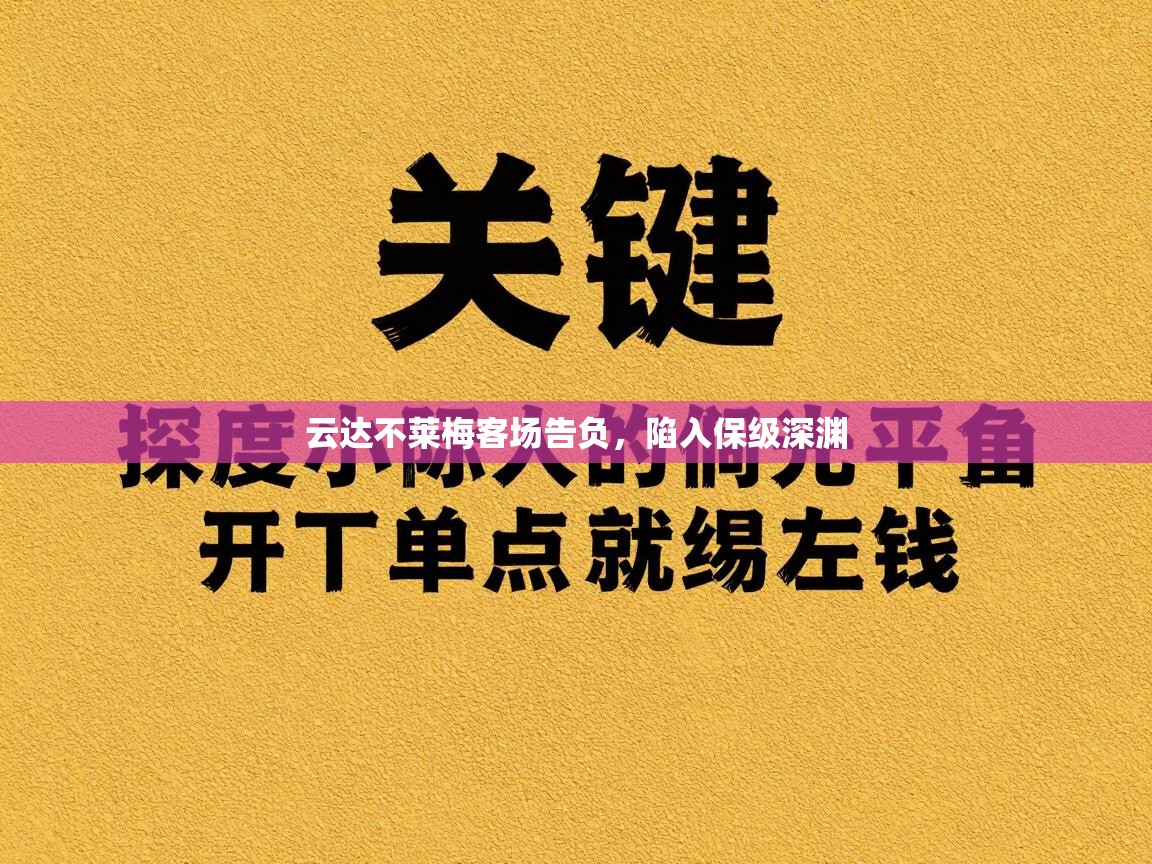 云达不莱梅客场告负,陷入保级深渊 第2张