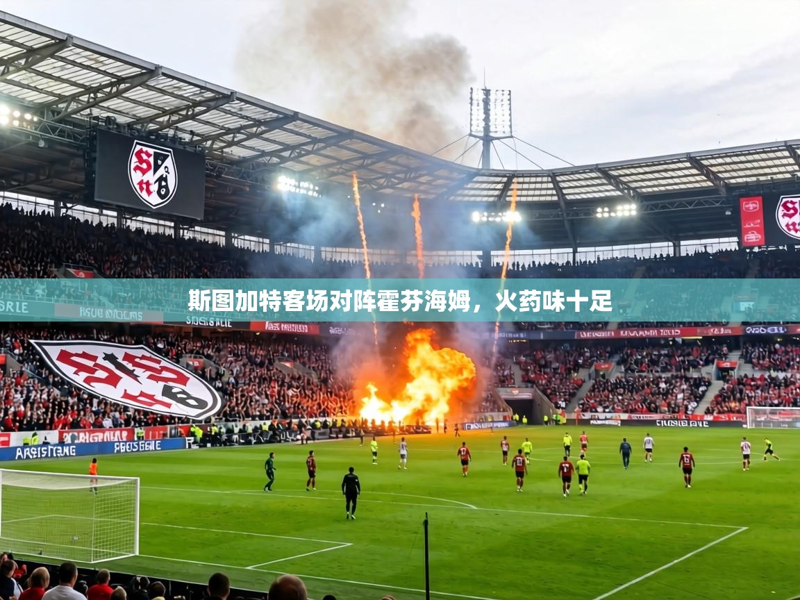 斯图加特客场对阵霍芬海姆,火药味十足 第2张